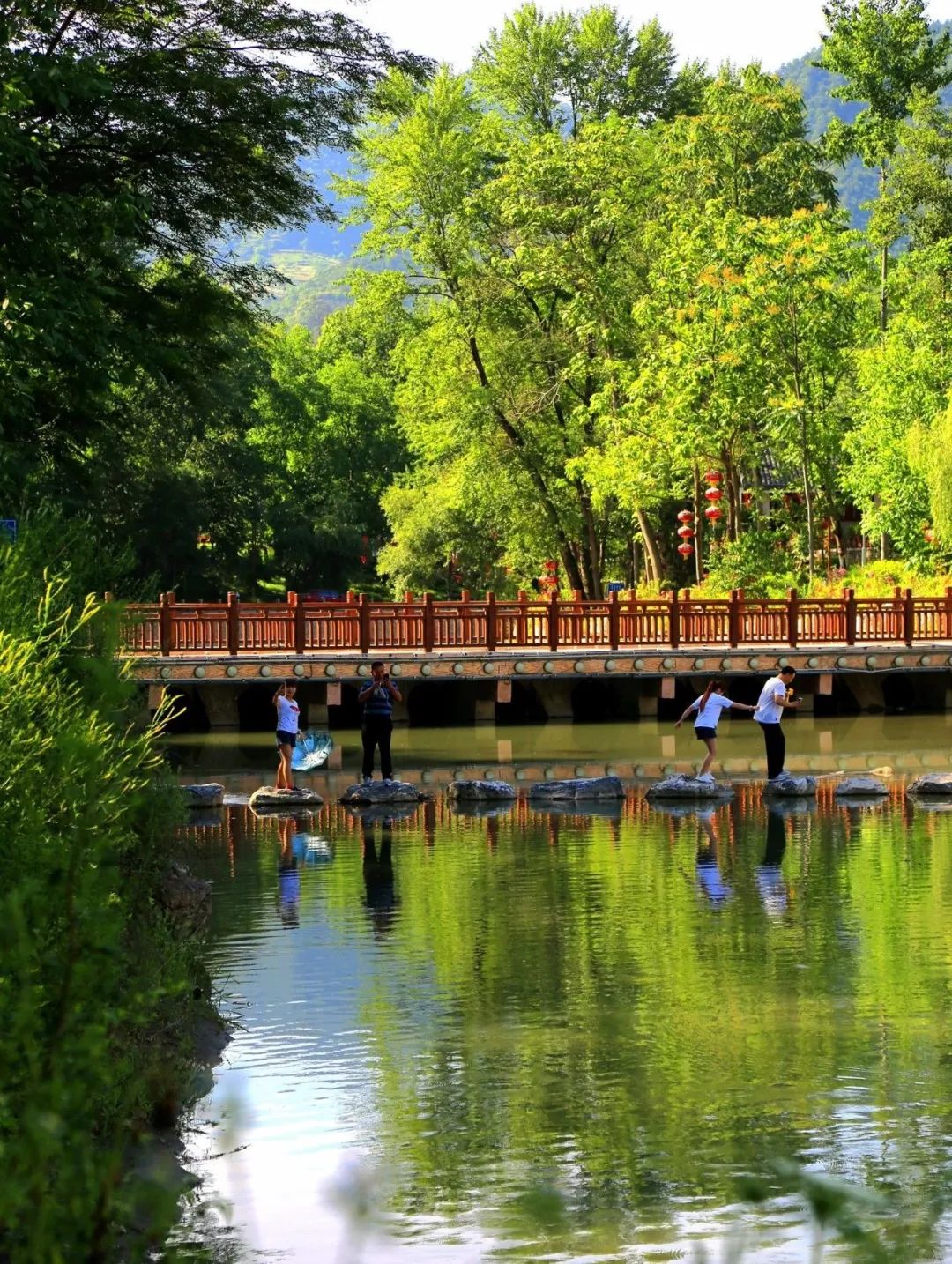 大美中国甘肃康县,央视大美中国甘肃康县