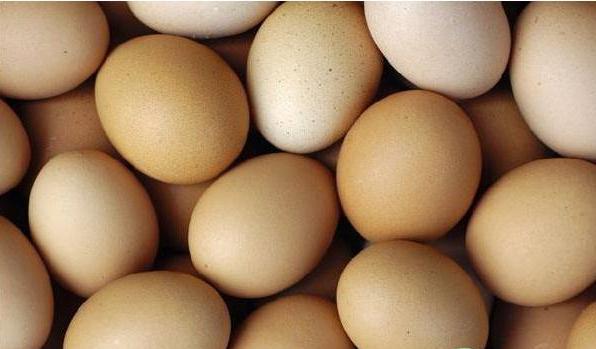 鸡蛋人工孵化技术,鸡蛋需要满足什么条件才会孵化