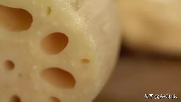 中国影像方志|隆尧：李唐故里招子鼓高亢激昂，泽畔鲜藕、羊肉汤香飘万里