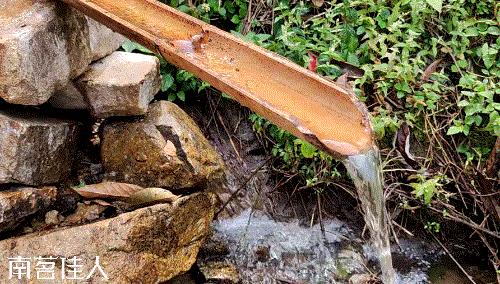 冰岛五寨糯五价格,冰岛五寨谁最有性价比