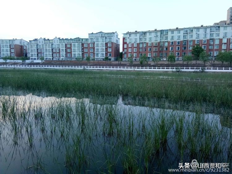 清风徐来水波不兴边款,清风徐来水波不兴图