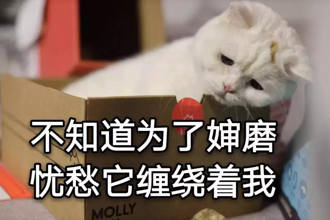 精华好用推荐性价比高,精华好用排行