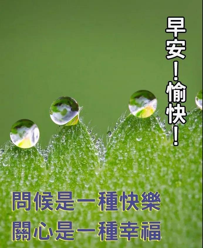 中老年表情包正能量,老年俗气表情包