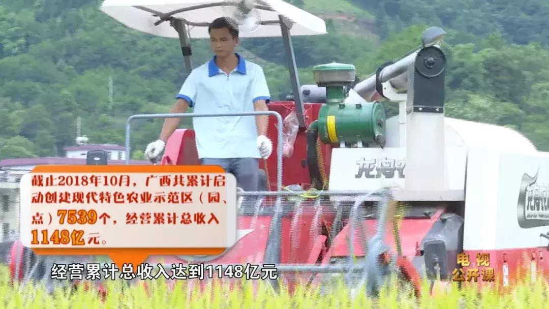 广西的产业发展趋势与政策,广西农业发展趋势与政策研究