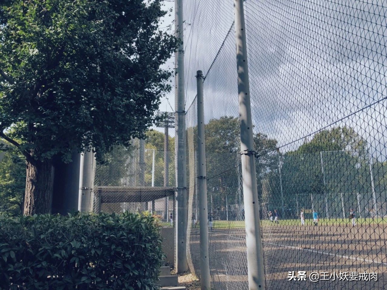 日本自由行攻略7天旅游,日本自由行攻略十大必去景点