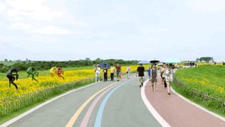 双流空港花田最新进展,双流空港花田开放了吗最新回复