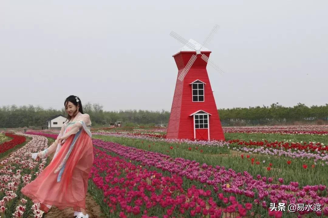 易县狼牙山小火车,河北保定易县火车