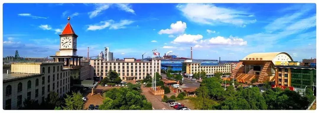 张家港10强企业,苏州的十大企业