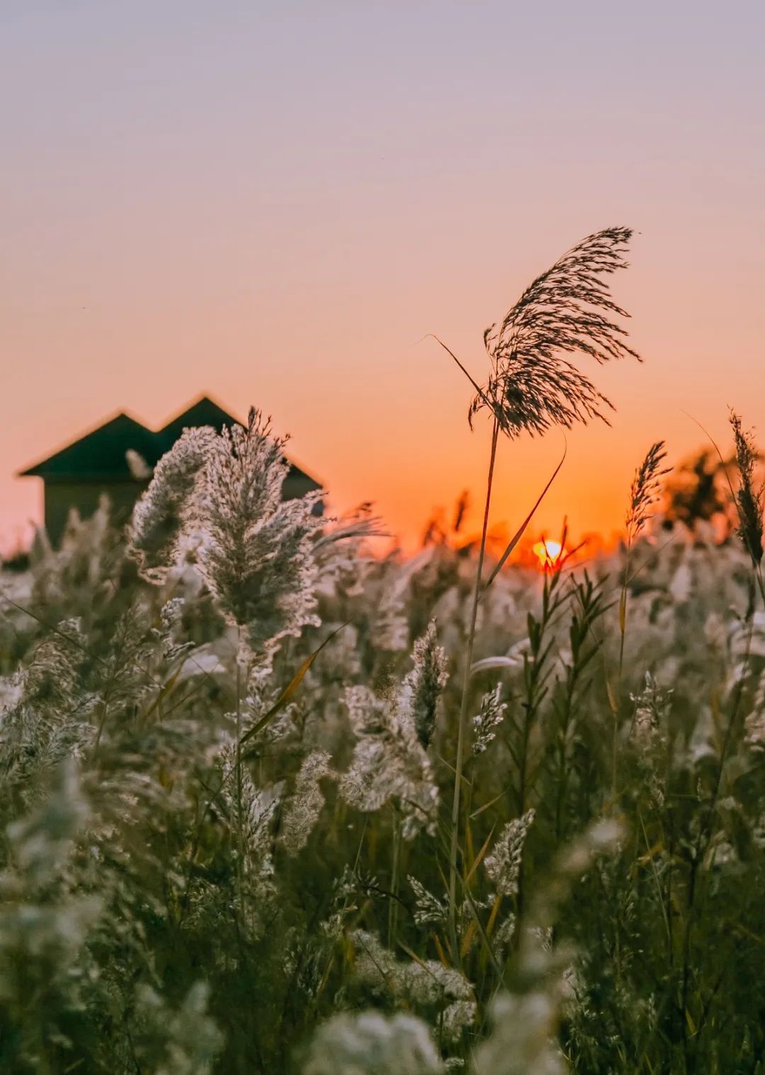 山东东营位置,这就是东营