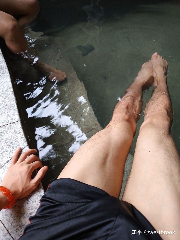 上海交大考研难度一览表,上海交大考研励志