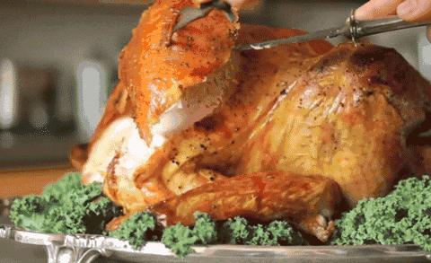 感恩节快乐｜吃鸡之前，你知道火鸡其实叫做“土耳其”吗？