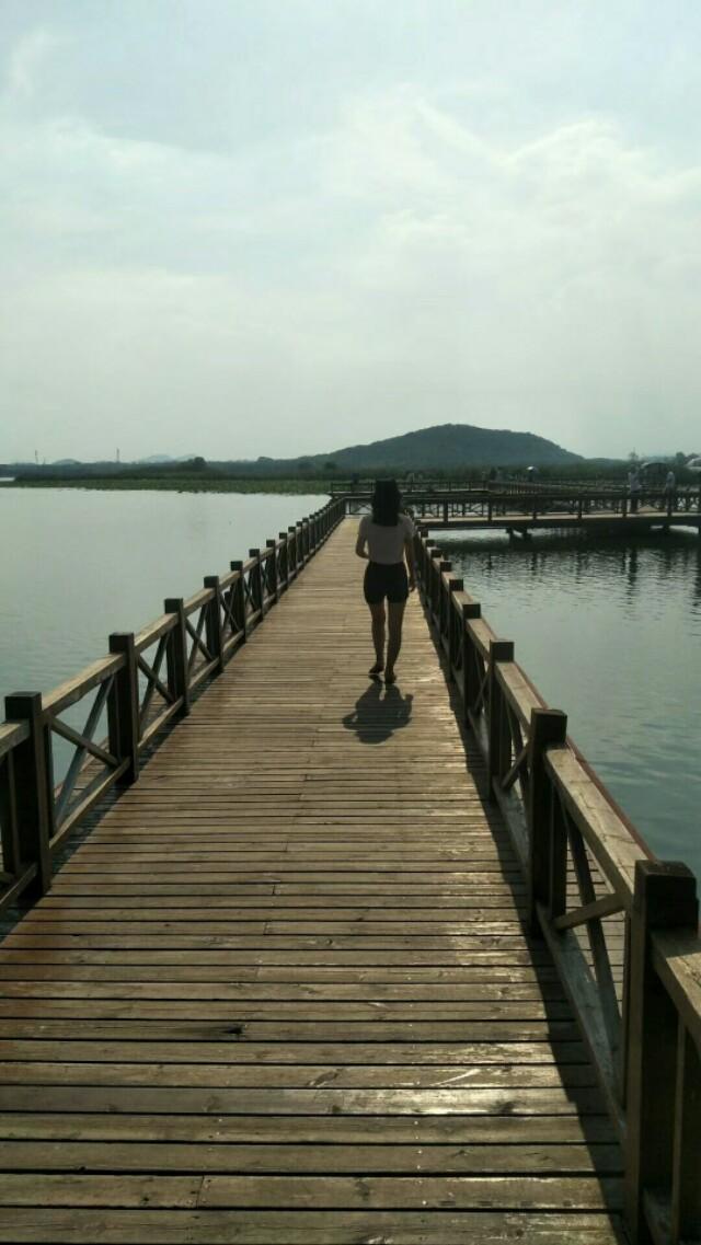 武汉后官湖湿地公园门票,武汉后官湖湿地公园线路图