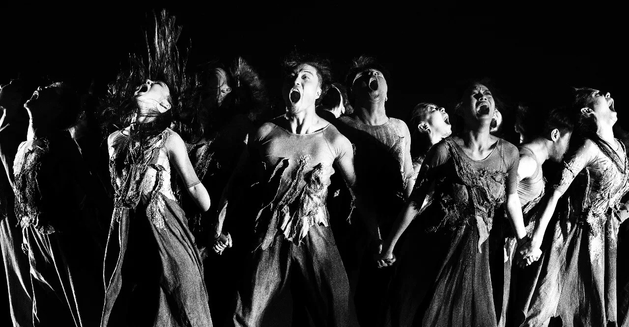 最新舞剧佟睿睿,佟睿睿舞剧全集