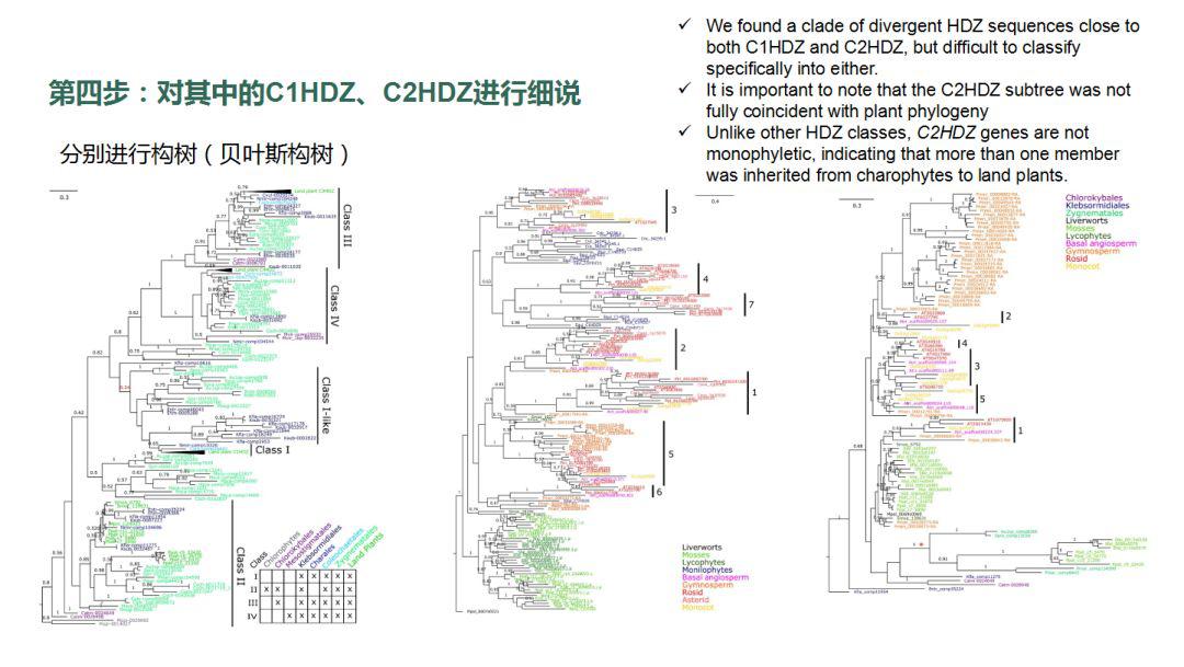 基因方面发10分sci什么水平,如何进行基因进化分析