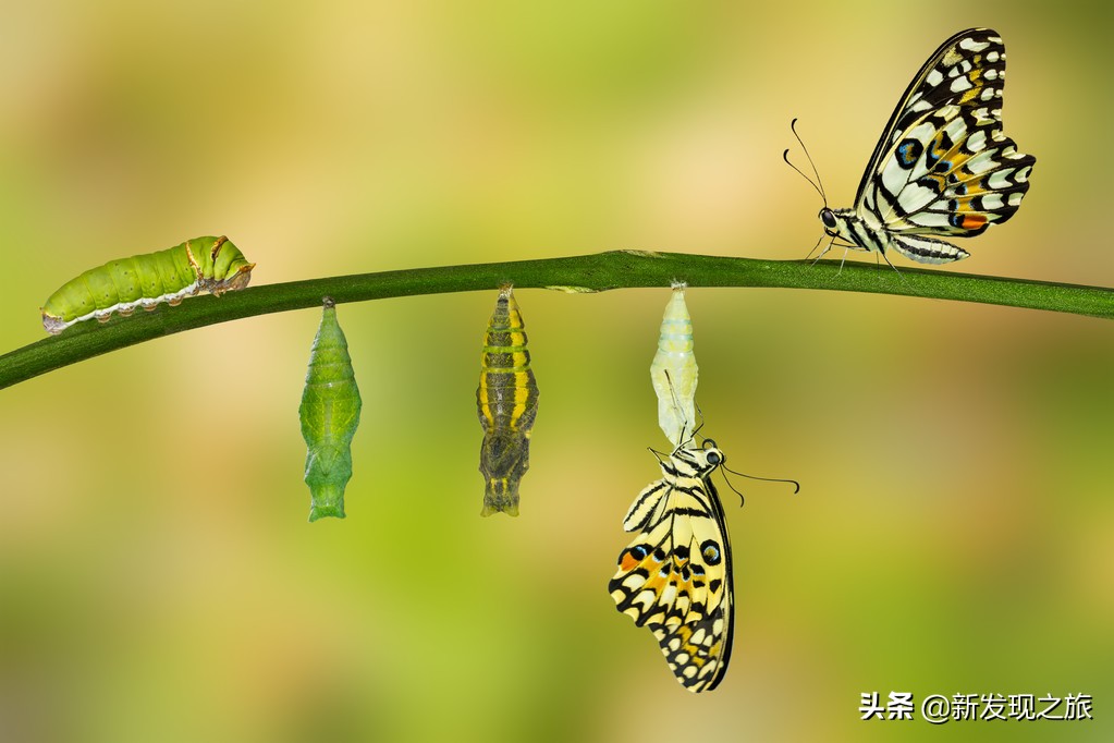 如果没了人类世界有多可怕,如果没了道德人会怎么样