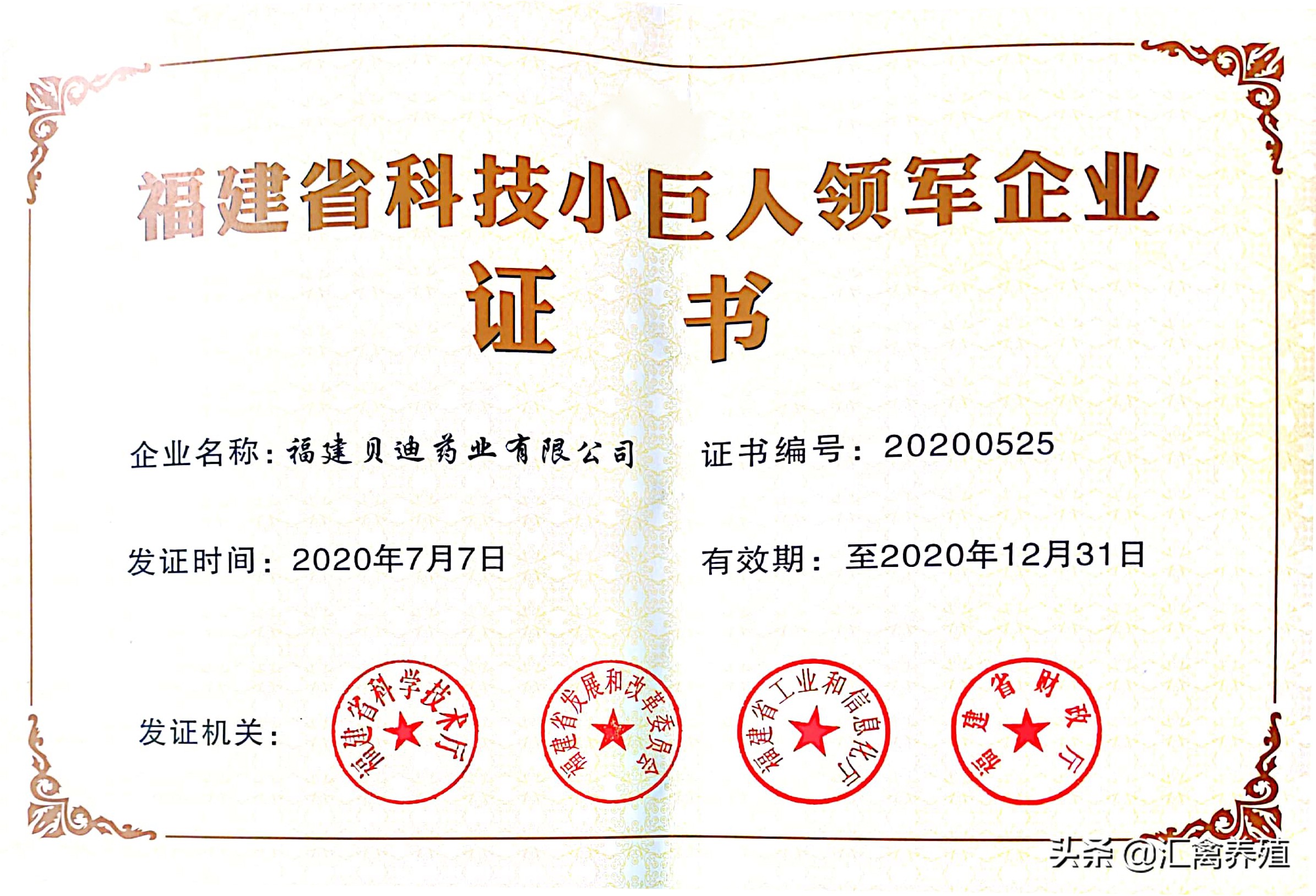 福建贝迪药业技术部,福建宁德贝迪生物科技