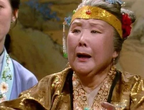 蒋勋说红楼梦林黛玉焚稿断痴情,蒋勋林黛玉薛宝钗