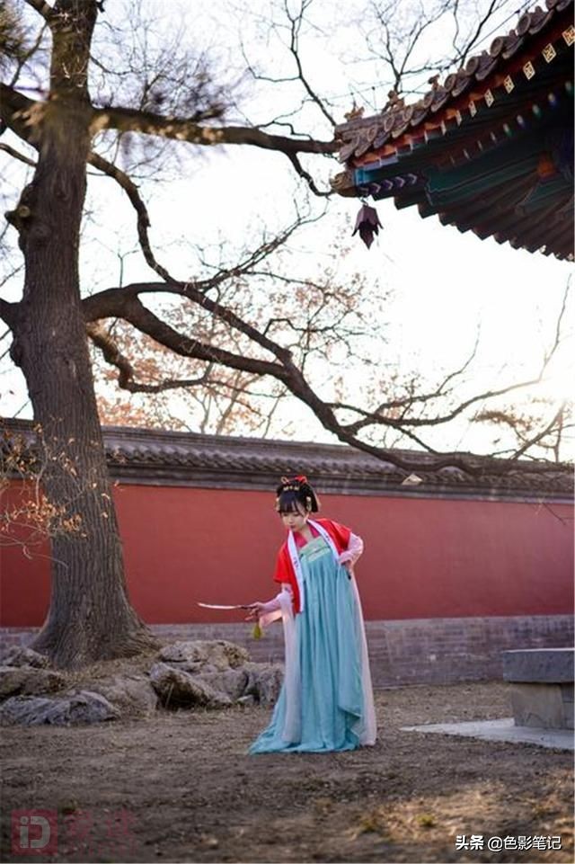 家庭室内摄影必备基本器材,学会摄影需要学会的东西