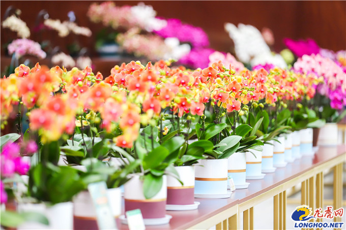 “苏货直播·e起小康”全省行正式启动南京美丽乡村首个5G直播间开播