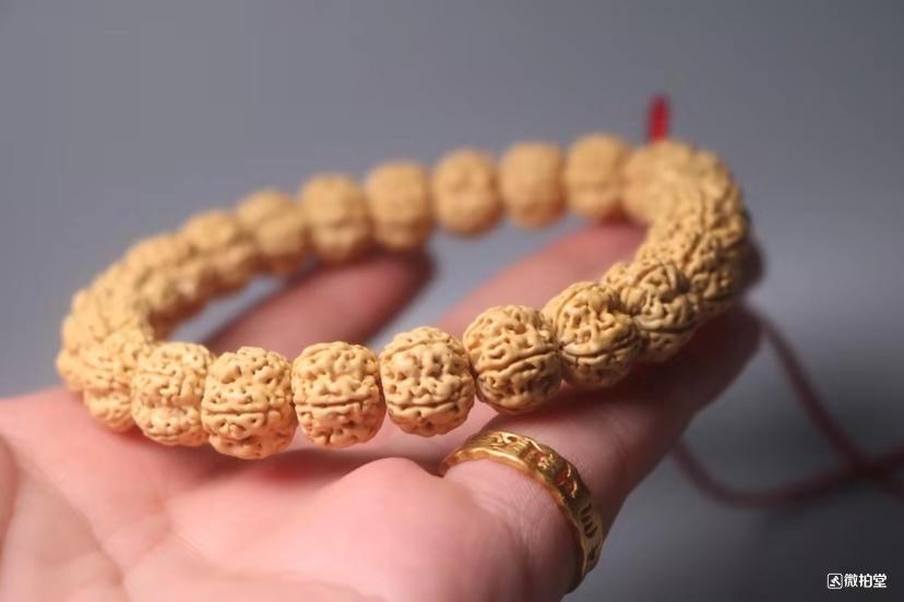 小金刚纹路有小尖,最受欢迎的小金刚纹路