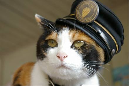 500个有趣的冷门知识,100个有趣的历史冷门知识