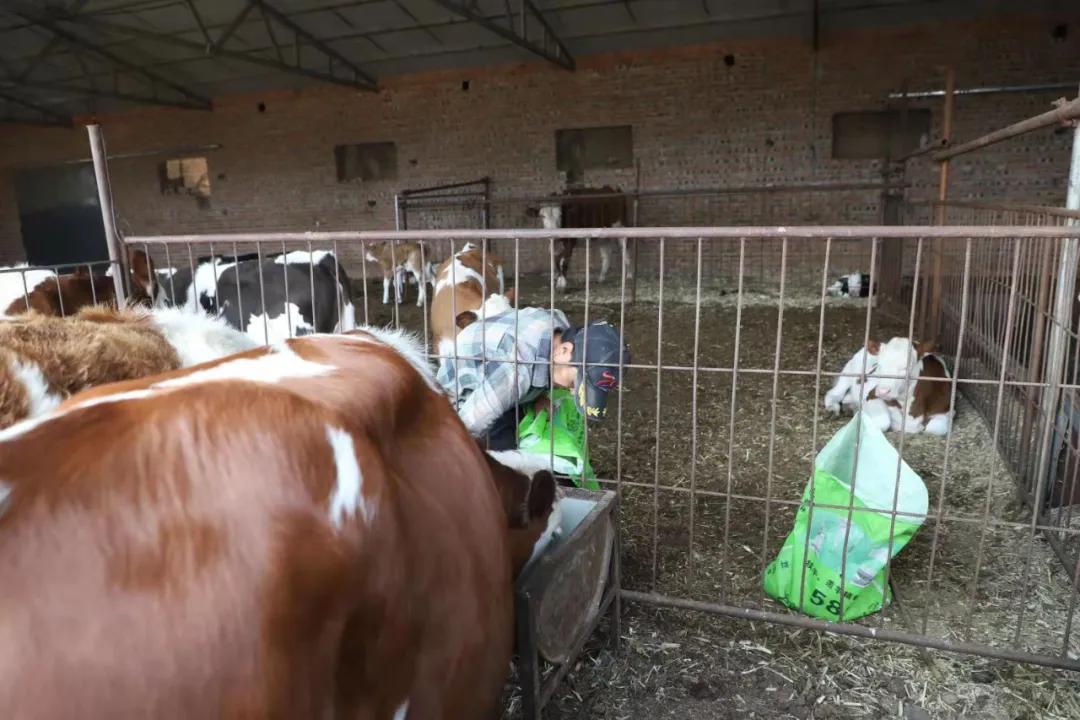 付宝：身残志坚勇创业自强不息谋致富