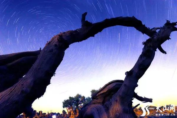 来*疆新**吧!这里的星空能满足你对浪漫的所有幻想……