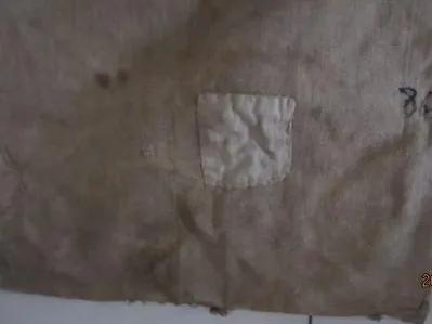 背着口袋去购物—《滴滴泉水集》之初中篇(七)