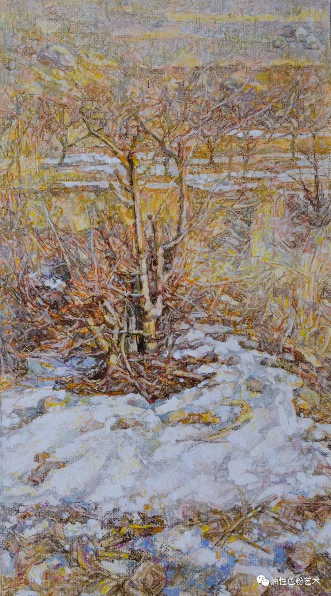 油画棒画苹果和真的一样,油画棒绘画超高级