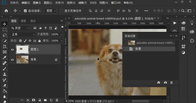 photoshop快捷键大全,photoshop设置快捷键大全