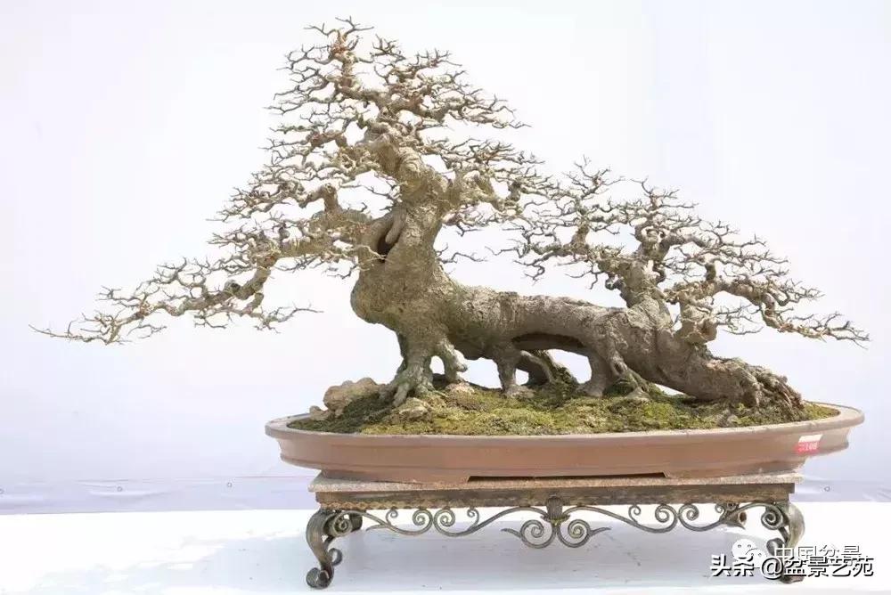 鏈存爲寰楀鐩嗘櫙,椤剁骇鏈存爲鐩嗘櫙娆h祻