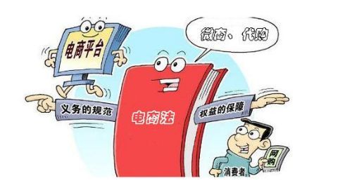电商法2021,电商法代购