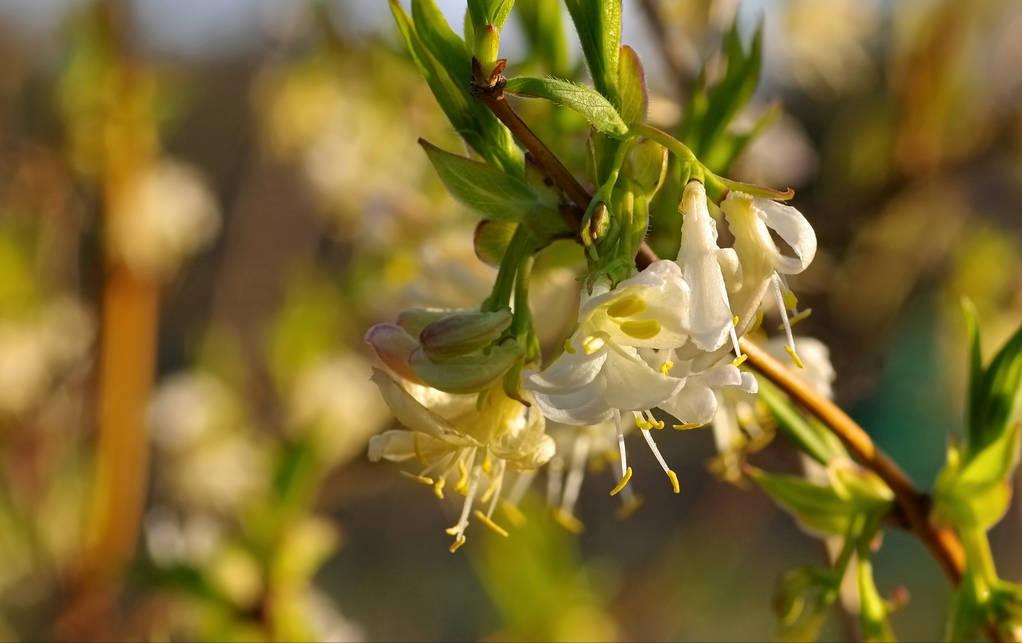 一亩地平均一年能赚多少钱,农业一亩地能赚多少