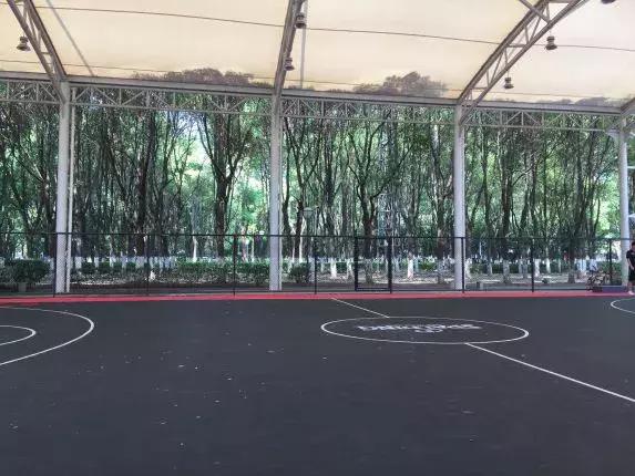 微信运动每天399步,微信运动一天10步是怎么做到的