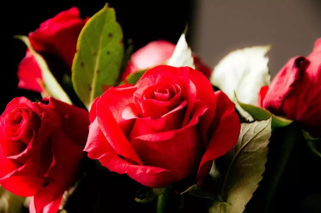 玫瑰痤疮护理,玫瑰痤疮快速消除小妙招