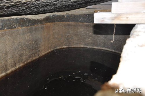 木乃伊泡水里吗,木乃伊泡水喝