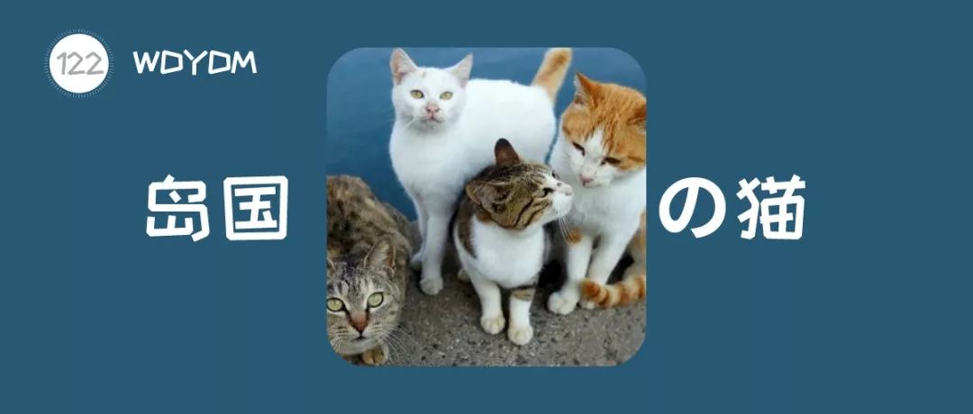 日本猫岛为什么有那么多猫,日本猫岛上为什么有这么多猫
