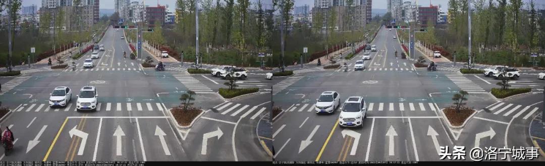 洛宁交警曝光酒驾醉驾典型案例,洛宁县交警违章处理在哪里