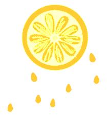 like和can的用法,小学英语may和can用法