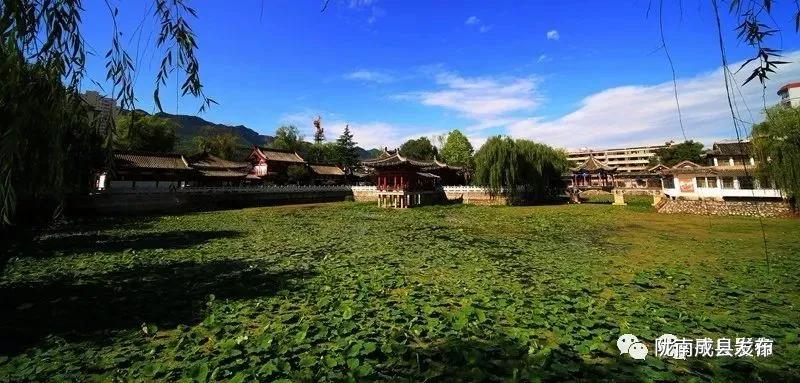 笔端的全部小说,笔端小说合集