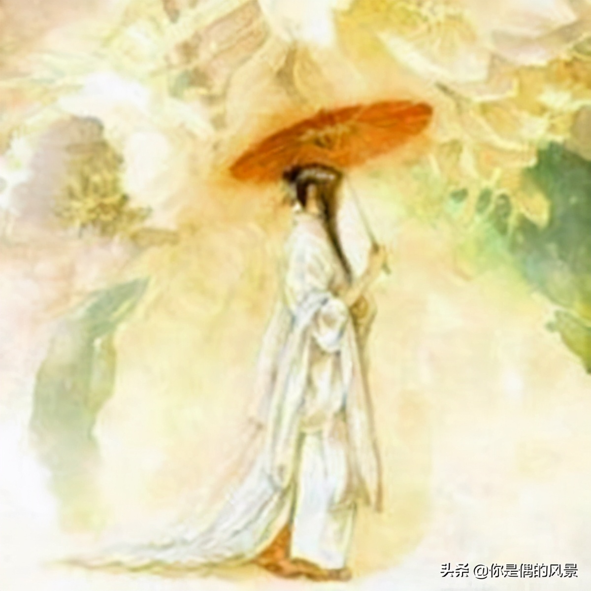 诗经郑风野有蔓草全文,诗经野有蔓草配图