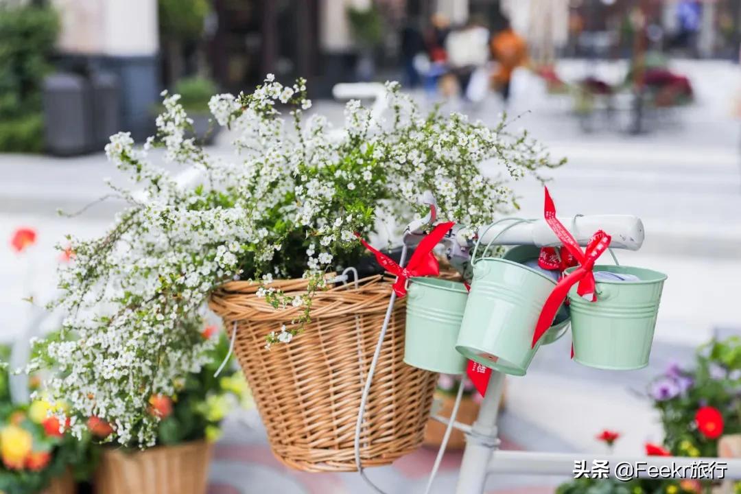 鑻忓窞娓哥帺瓒呯骇璇︾粏鏀荤暐浜斿ぉ,璺熺潃褰撳湴浜烘帰绱㈢殑鍦版柟