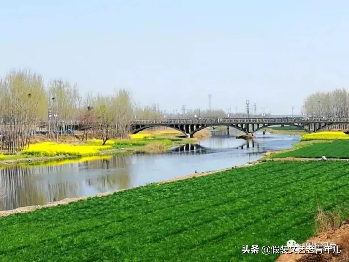 卫辉人那些昼思夜想的桥！究竟有何魔力？