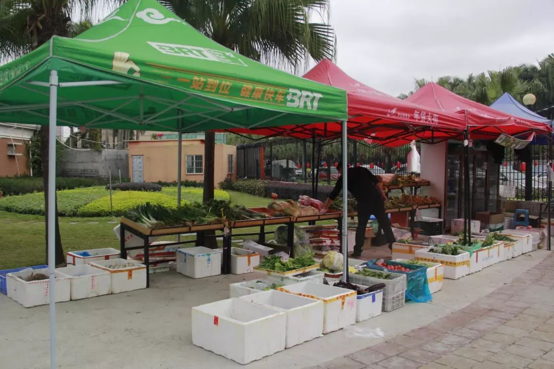 番禺｜物业做“微商”卖菜，管家当“快递员”送菜，广碧这波操作获满屏点赞