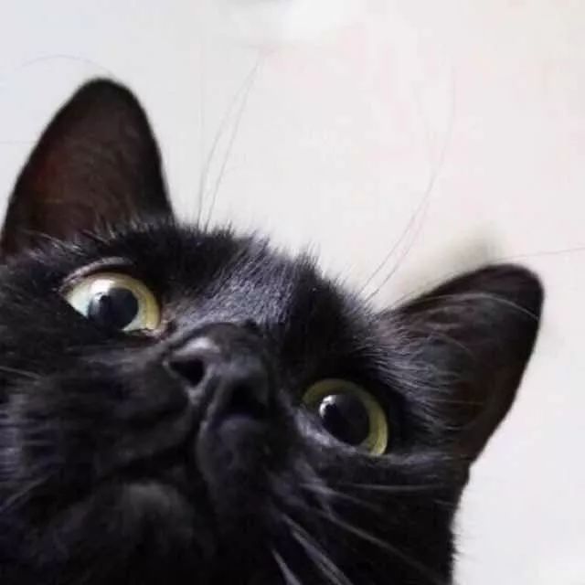 最有用的美容药,最好的美容药