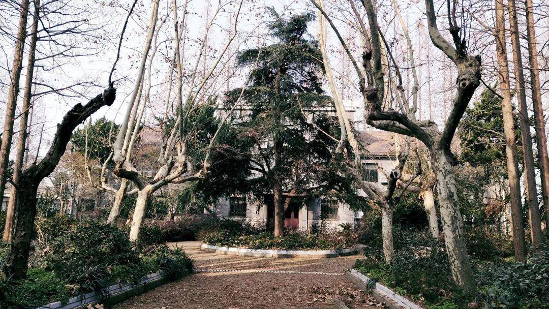 那些年你不能错过的rose的翻唱,那些年你不能错过的美食