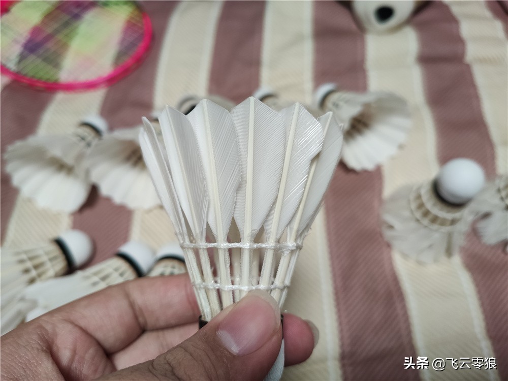 柏圣羽毛球测评,飞云零狼羽毛球怎么样