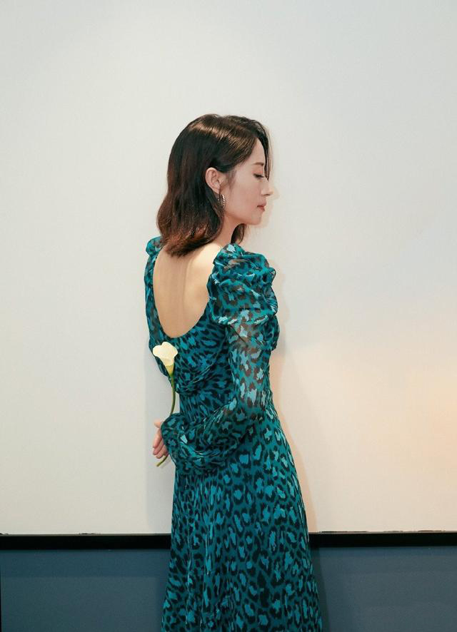 刘敏涛穿丝绒裙照片,刘敏涛穿衣风格