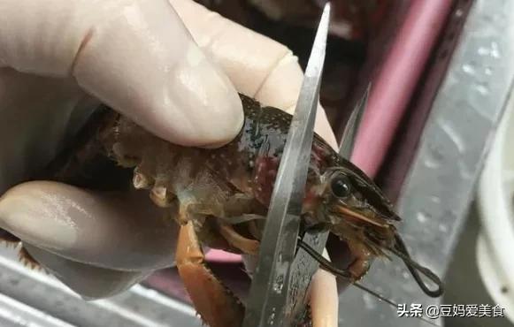 虾黄怎么煮才会一块块的,虾黄怎么加工好吃好看