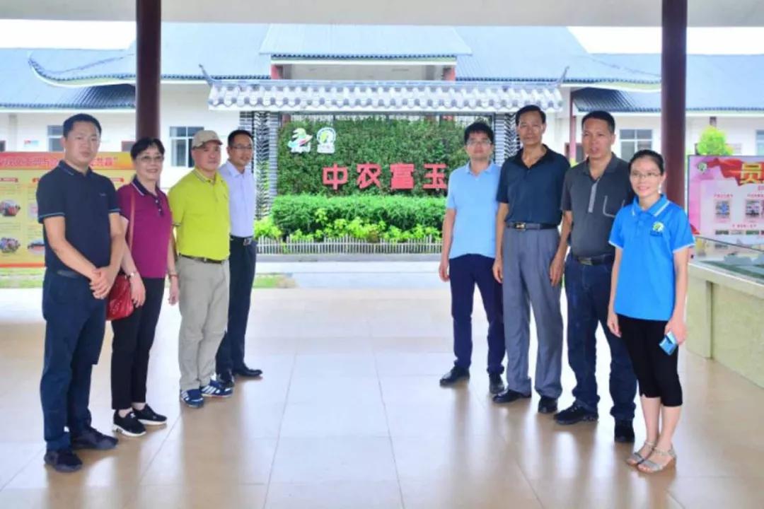 中农富玉大事记,中农富玉未来发展趋势